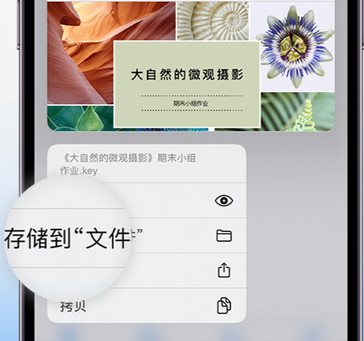 勐腊apple维修中心分享iPhone文件应用中存储和找到下载文件