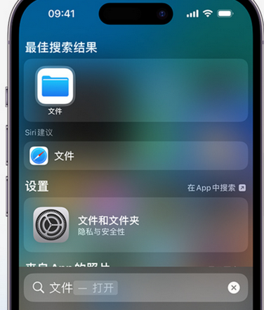 勐腊apple维修中心分享iPhone文件应用中存储和找到下载文件 