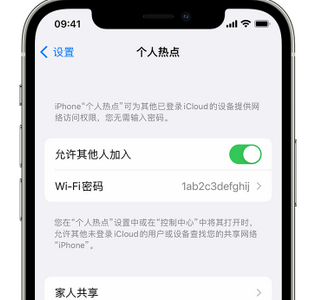 勐腊apple服务站点分享iPhone上个人热点丢失了怎么办 