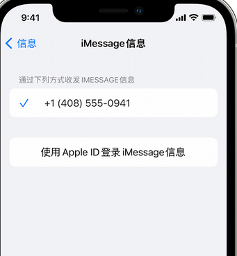 勐腊apple维修iPhone上无法正常发送iMessage信息 