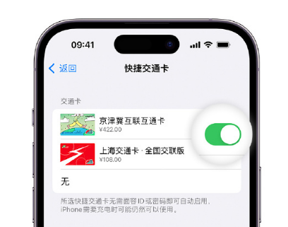 勐腊apple维修点分享iPhone上更换Apple Pay快捷交通卡手绘卡面 