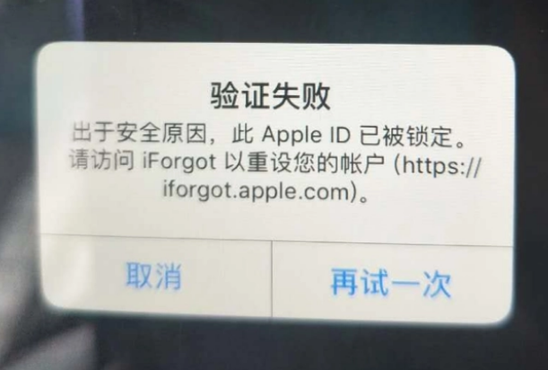 勐腊iPhone维修分享iPhone上正常登录或使用AppleID怎么办 