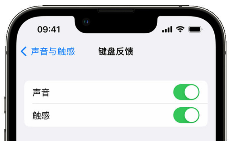 勐腊苹果手机维修分享iPhone 14触感键盘使用方法 