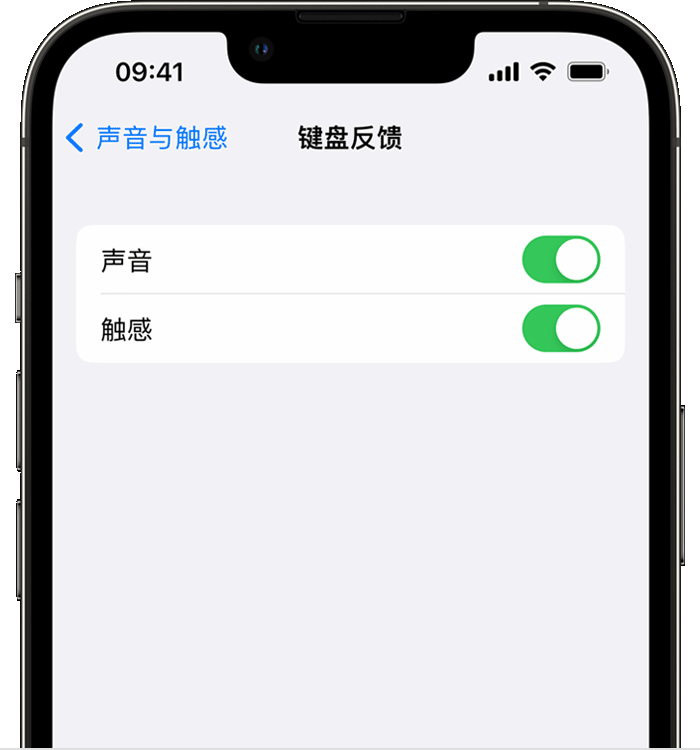 勐腊苹果14维修店分享如何在 iPhone 14 机型中使用触感键盘 