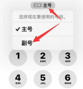 勐腊苹果14维修店分享iPhone 14 Pro Max使用副卡打电话的方法 