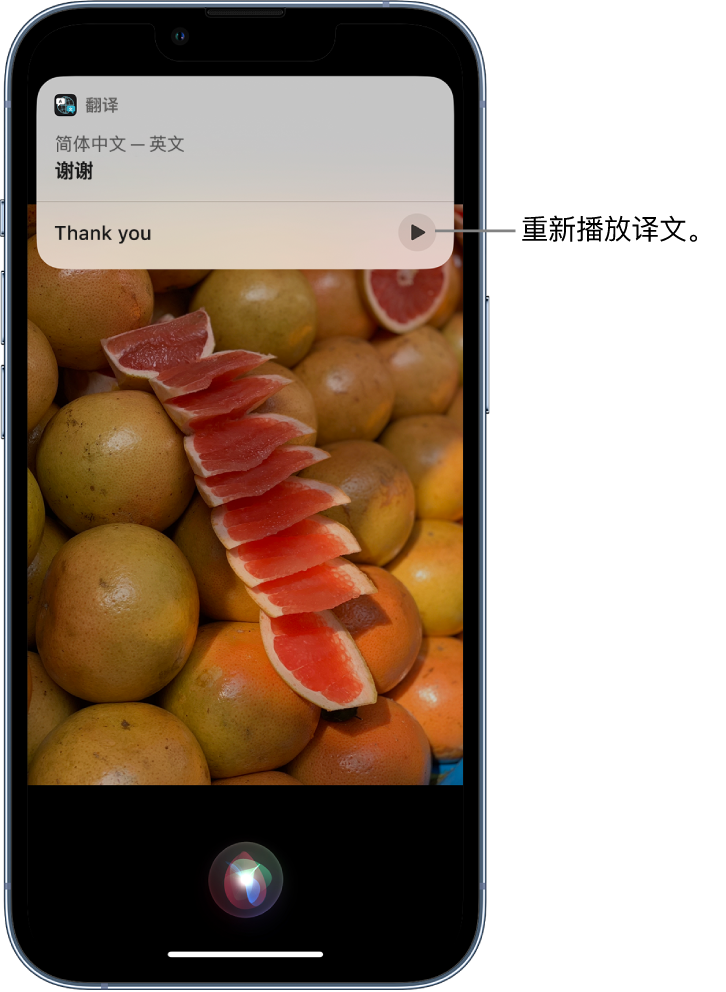 勐腊苹果14维修分享 iPhone 14 机型中使用 Siri：了解 Siri 能帮你做什么 