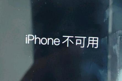 勐腊苹果服务网点分享锁屏界面显示“iPhone 不可用”如何解决 