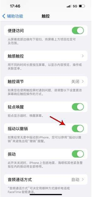 勐腊苹果手机维修分享iPhone手机如何设置摇一摇删除文字 