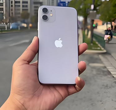 勐腊苹果11系统维修分享iPhone11手机系统崩溃无法开机如何解决