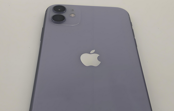 勐腊苹果11系统维修分享iPhone11手机系统崩溃无法开机如何解决